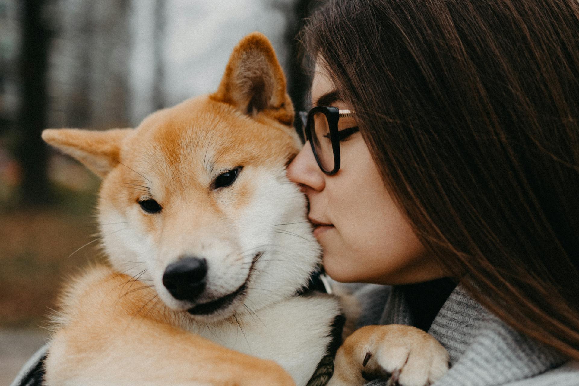 How to Choose the Perfect Pet Urn